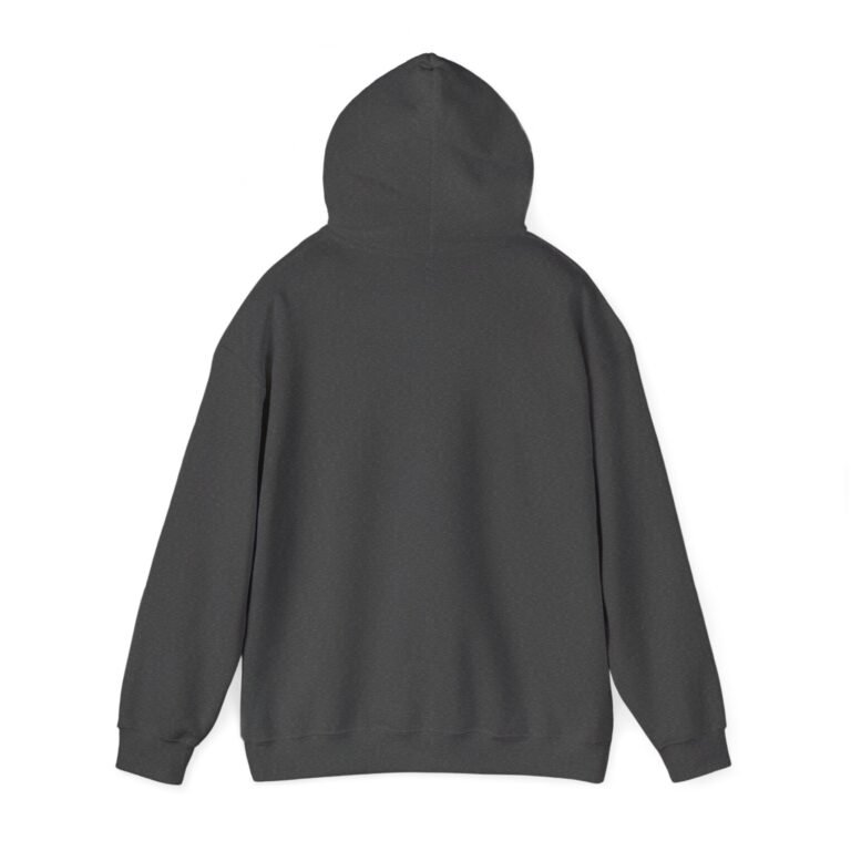 Jesus Unisex Christian Hoodie